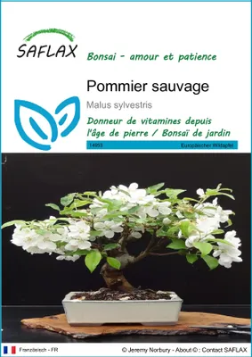 Image de SAFLAX  - Pommier sauvage - 30 graines - Malus