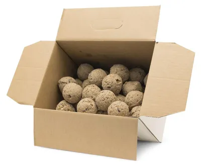 Produktbild von Gifts4Nature - 50 Meisenknödel à 80g