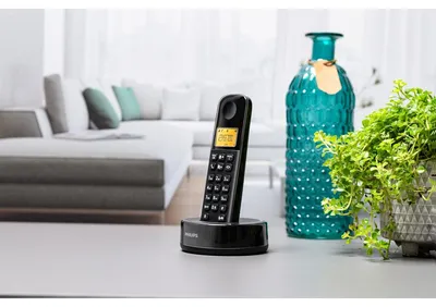 Immagine prodotto di Telefono DECT PHILIPS D1651B, 1 ricevitore, nero