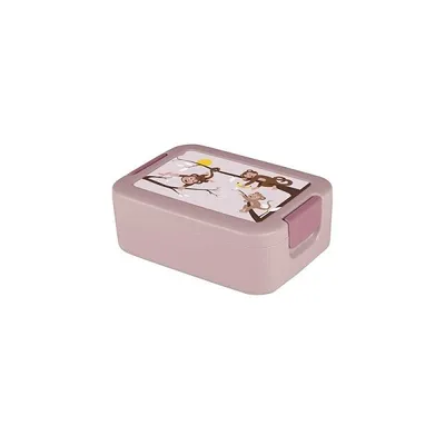 Image de Sigma Home Lunchbox Aap + bentobakje