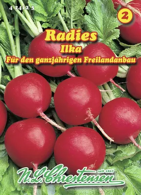 Produktbild von Radies Ilka | Radieschensamen von N.L. Chrestensen