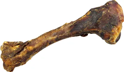 Produktbild von 4 Stück - Schecker Kauknochen - Wildschweinknochen - ca.16- 25cm lang