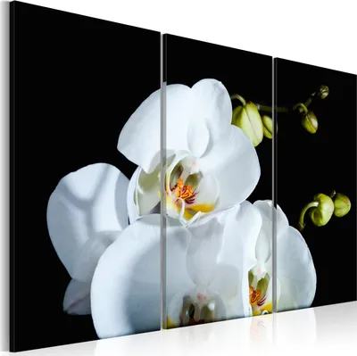 Produktbild von Wandbilder Blumen 120x80 cm 3 tlg – Bilder Wohnzimmer, Moderne Leinwandbilder, Leinwanddruck, Wanddeko Schlafzimmer, Leinwandbilder 030110-20