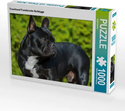 Produktbild von CALVENDO Puzzle Traumhund Französische Bulldogge | 1000 Teile Lege-Größe 64x48cm Foto-Puzzle für glückliche Stunden