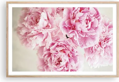Produktbild von Gerahmtes Poster - Rahmen in heller Eiche - Pfingstrosen Blumenstrauß Blumen - 91,5x61 cm - Wand Bild - Wanddeko - Wandbilder - Kunstposter - Wandposter - Bilderrahmen - Bilder - P2NAA91x61-4961