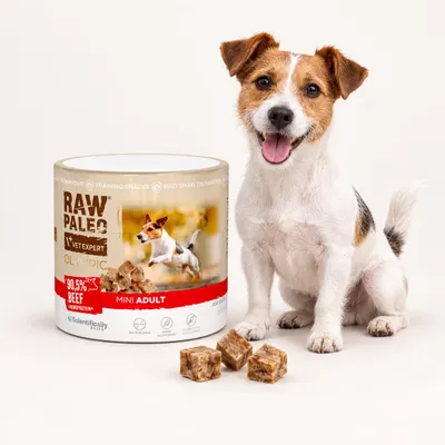 Imagen del producto de Bocadillo para perros VetExpert Raw Paleo, hipoalergénico, sabor a ternera, 90g, Imagen generada por IA