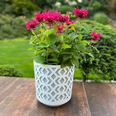 Produktbild von Blumentopf Kräutertopf Pflanzentopf für Zuhause Balkon Terrasse Garten Modernes Design Kunststoff Gemustert Hellgrau-Weiß 20,1 x 19,5 cm x 19,5 cm
