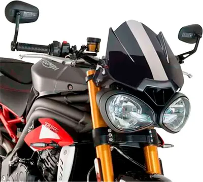 Image de PUIG 8929F New Generation Sport pour TRIUMPH SPEED TRIPLE 1050 R fortement teinté