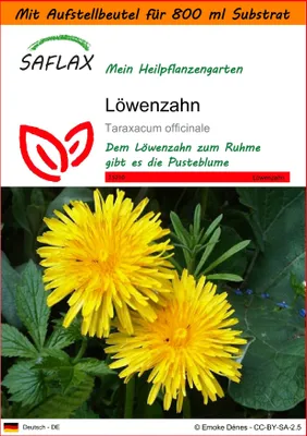 Produktbild von SAFLAX Garden in the bag - Löwenzahn - Taraxacum officinale - 200 Samen - Mit Anzuchtsubstrat im praktischen, selbst aufstellenden Beutel