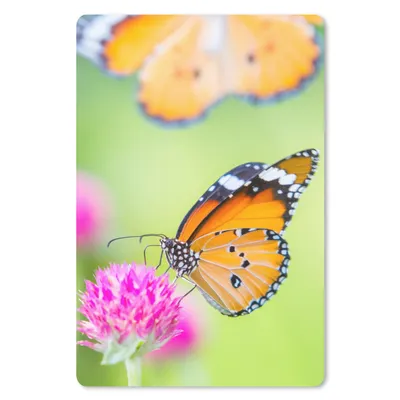 Produktbild von MuchoWow® Mauspad Mousepad Insekten - Schmetterlinge - Blumen 18x27 cm - Mousepads - Maus Mat - Pad - Mausunterlage