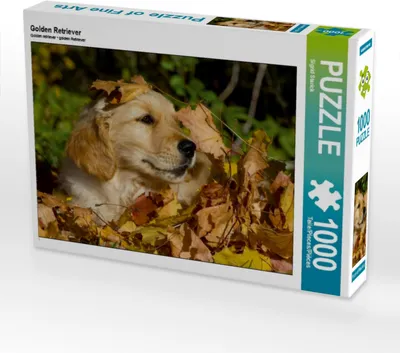 Produktbild von Calvendo Golden Retriever 1000 Teile Puzzle quer 640x480mm, Starick Sigrid; 7355262