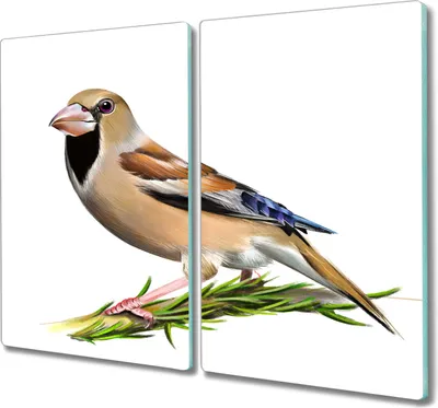 Produktbild von Coloray Herdabdeckplatte 2x30x52 cm Schneidebrett Kochplattenabdeckung Küchenbrett Hackbrett - Tier Vogel