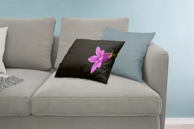 Produktbild von MuchoWow® Zierkissen Sofakissen Wohnzimmer Dekokissen 60x40 cm Eine Nahaufnahme einer lila Lilie auf schwarzem Hintergrund - Kopfkissen - Polster mit Foto
