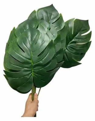 Obrázek produktu pro Listy monstery, 10 kusů, velikost 54,6 cm, zelené, plastové, tropické, 30 x 25 cm