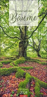 Produktbild von Wunderwelt der Bäume Kalender 2024. Baum-Fotos durch alle Jahreszeiten in einem länglichen Kalender im Format 33 x 68 cm. Jahres-Wandkalender 2024 mit Fotos von der Blüte bis zum kahlen Winter.