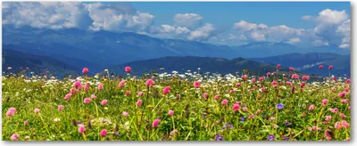 Produktbild von Tulup® Leinwandbild - 125x50 cm - Wandkunst - Drucke auf Leinwand - Leinwanddruck  - Landschaften - Mehrfarbig - Wiese Berge