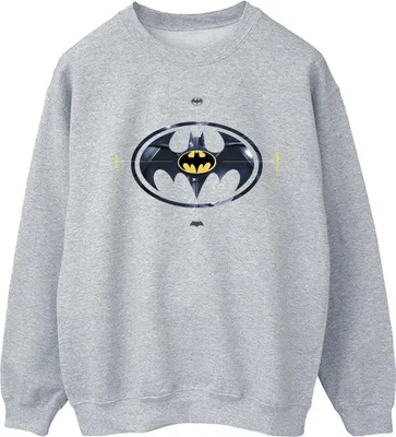 Produktbild von DC Comics - Sweatshirt für Herren BI47234 (XL) (Grau)