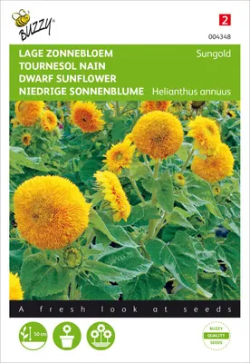 Artikelbild 2 von 'Niedrige Sonnenblume Sungold' aus der Kategorie Sonnenblumensamen