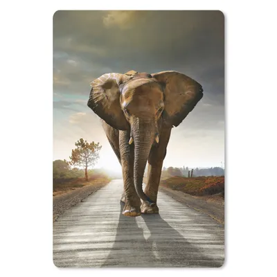 Produktbild von MuchoWow® Mauspad Mousepad Elefant - Straße - Tiere - Sonnenuntergang - Landschaft 18x27 cm - Mousepads - Maus Mat - Pad - Mausunterlage