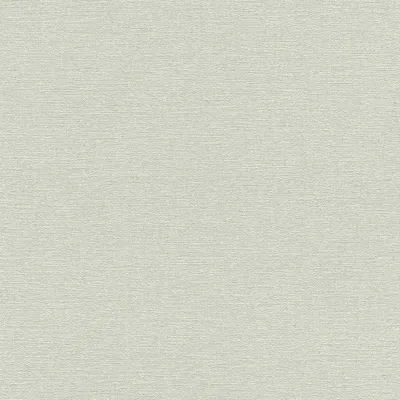 Productafbeelding van Vliesbehang, effen, grijs, 804331, #tapetenwechsel II