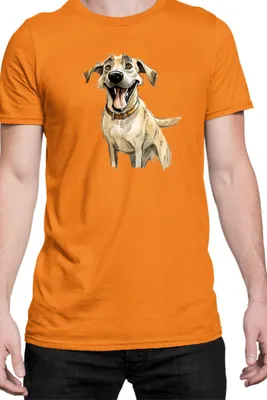 Obrázok produktu pre Mužské Tričko Funny Dogs Breeds Kangal Dog Breed, Man M / Oranžová