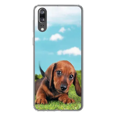 Produktbild von MuchoWow® Handyhülle Schutzhülle Hülle für Huawei P20 Schöner Himmel über einem niedlichen Dackelwelpen Silikon Softcase Handy Hülle - Hardcover