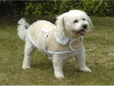 Immagine prodotto di Cappotto per cani per il freddo intenso