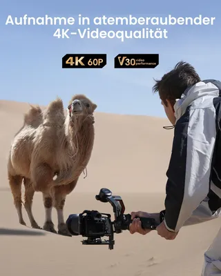 Immagine prodotto di Scheda SD Lexar Silver da 512 GB - Scheda SDXC UHS-I veloce per la registrazione di video 4K