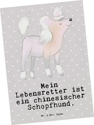 Produktbild von Mr. & Mrs. Panda Fotokarte Chinesischer Schopfhund Lebensretter - Grau Pastell - Geschenk, bildkarte, Ansichtskarte, Postkarten, Postkarte, Chinese Crested Dog, Grußkarte