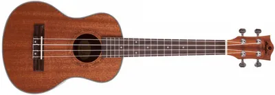 Image de Prodipe Gitarren BT3