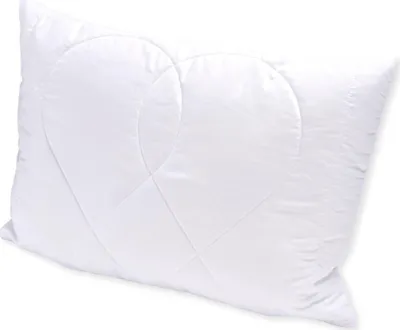 Image de Oreiller Aloe Vera 50x70cm 400g avec fermeture éclair