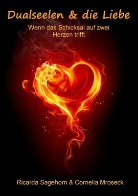 Produktbild von Dualseelen & die Liebe