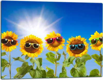 Produktbild von Glasschneidebrett Herdabdeckplatte Glaskeramikkochfeld Universal 52x40 cm Blumen