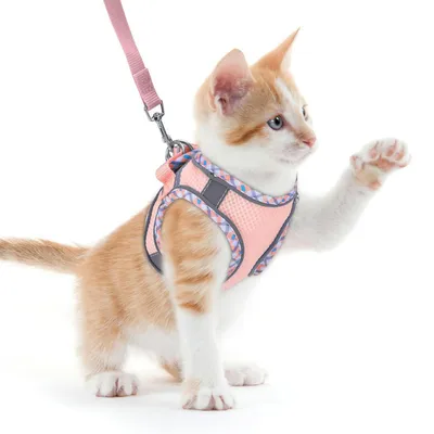 Produktbild von Katzengeschirr mit Leine Softgeschirr Rosa XXS Reflektierend