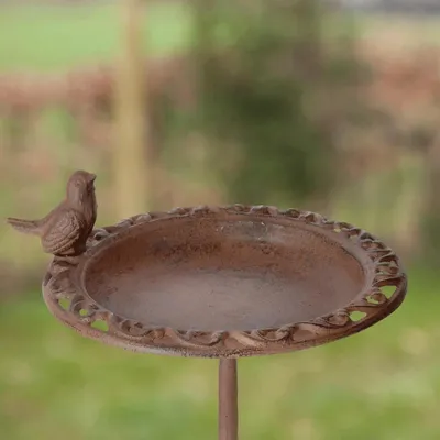 Image de Abreuvoir pour oiseaux sur pied.