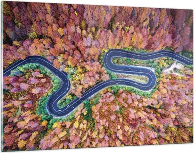 Produktbild von Bilder auf glas - Einteilig - Kurvenreich Weg Wald - 120x80cm - Glasbilder - Wandbilder - Bilder - zum Aufhängen bereit - Wanddekoration aus Glas - Glas Bilder - Wandbild auf Glas - GAA120x80-4291