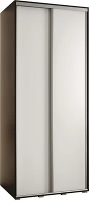 Produktbild von MEBLE KRYSPOL Davos 1 Schrank, zwei Türen - 235,2x120x60 cm - Schwarz Weiß Silber