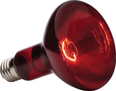 Produktbild von Hagen EX Infrarot-Waermelampe Heat GL R30/150W; PT2146