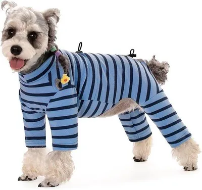 Produktbild von Blauer Streifen-Hundepullover XL