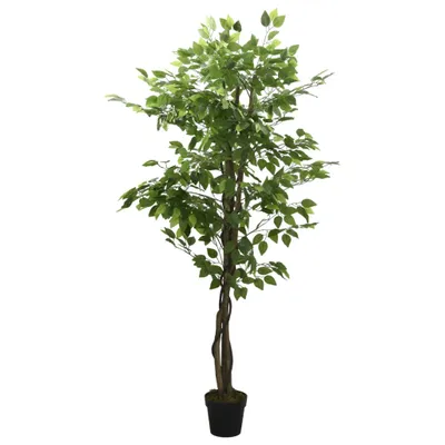 Immagine prodotto di Albero di Ficus Artificiale 1008 Foglie 180 cm Verde
