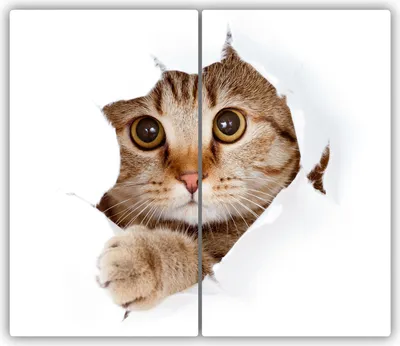 Produktbild von Tulup Glas-Herdabdeckplatte - 2x30x52cm - Glaskeramikkochfeld-Abdeckung Spritzschutz Zweiteilig Katze