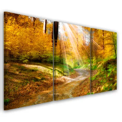 Produktbild von Triptychon auf leinwand orangefarbene landschaften 90x60 cm Feeby orange wandbild bereit zum aufhängen