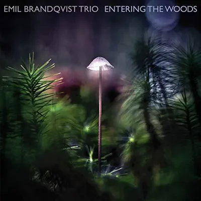 Productafbeelding van Entering The Woods (Digipak-uitgave)