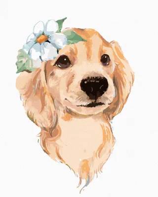Produktbild von Diamondi - Diamond painting - SÜSSER HUND UND WEISSE BLUME, 40X50 cm, mit Keilrahmen (bereits gespannt)