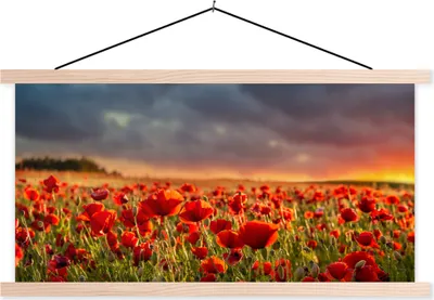 Produktbild von MuchoWow® Textilposter Sonnenuntergang - Mohnblumen - Rot - Blumen - Feld - Natur 60x30 cm mit holzfarbenen Rahmen - Dekoration