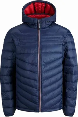 Image de Veste Jack&Jones 271500100013 pour Homme