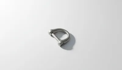 Produktbild von Noxeye DR2 Titanium D-Ring