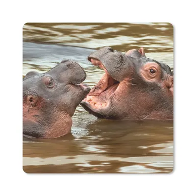 Produktbild von MuchoWow® Mauspad Mousepad Nilpferd - Tiere - Wasser 30x30 cm - Mousepads - Maus Mat - Pad - Mausunterlage - Gaming