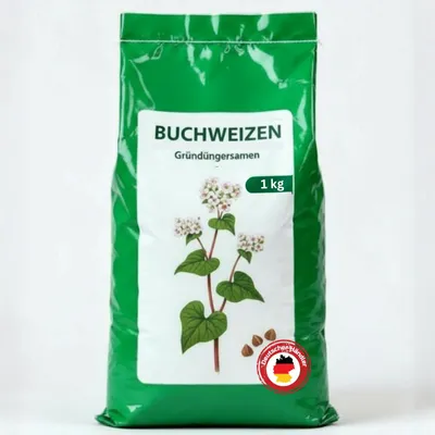Produktbild von Samenshop24® Buchweizen Gründünger Inhalt: 1kg