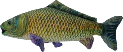 Produktbild von Kuscheltier Karpfen grün 27 cm Fisch Plüschtier